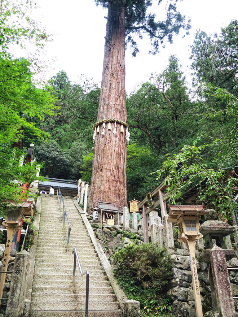 【京都】鞍馬寺－由岐神社神木