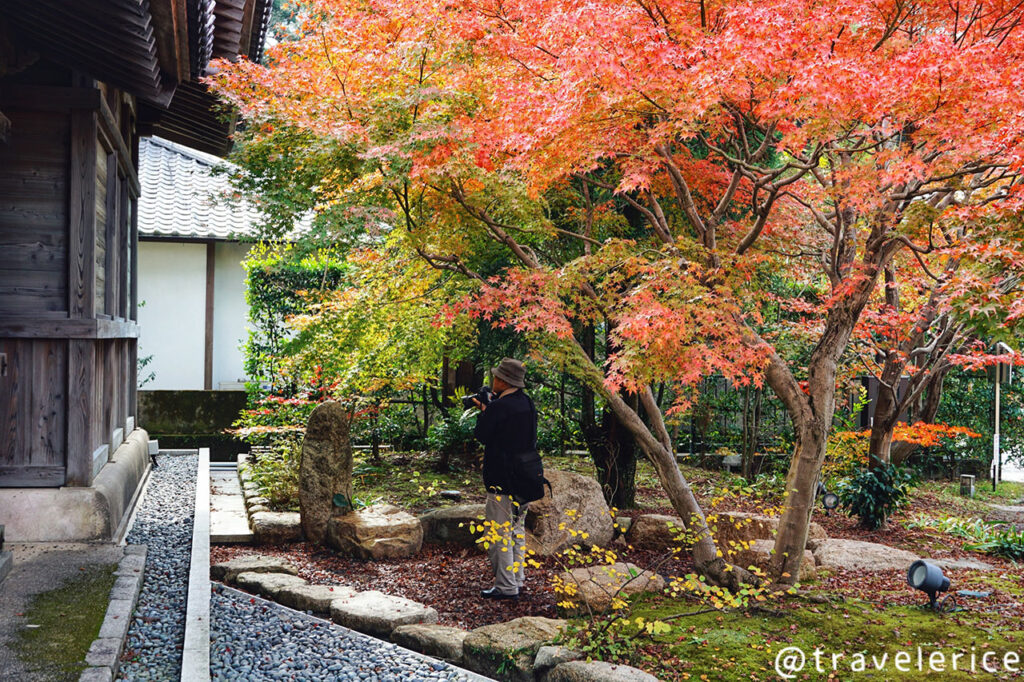 太宰府天滿宮賞楓