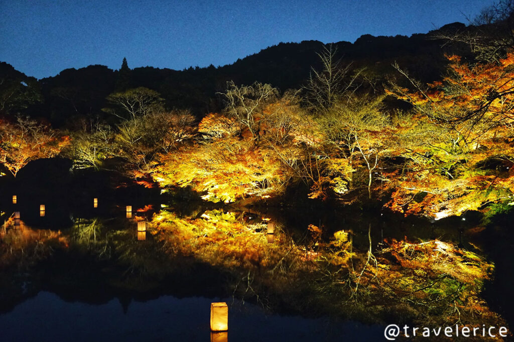 御船山樂園點燈