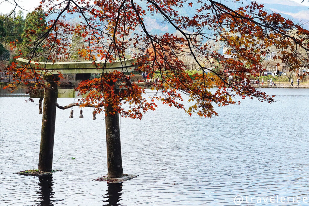 【福岡自由行】金鱗湖賞楓