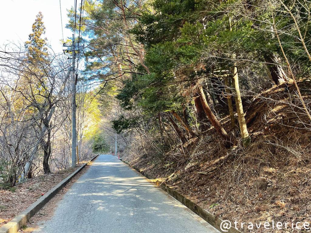 【河口湖】往天空鳥居遙拜所的山路