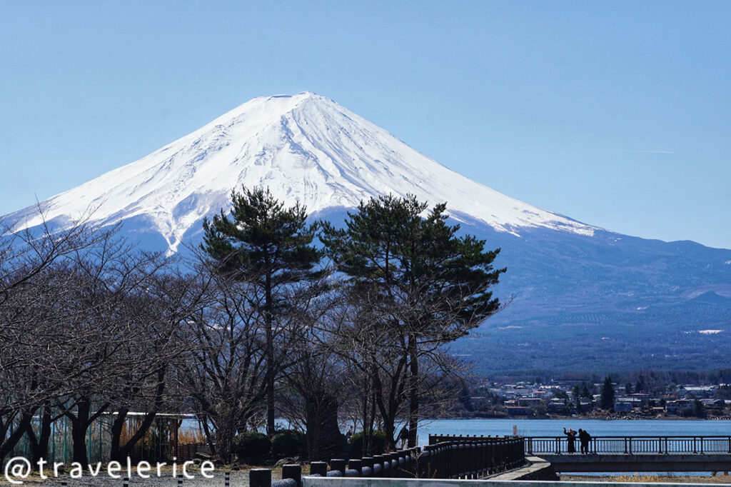 【河口湖】富士山
