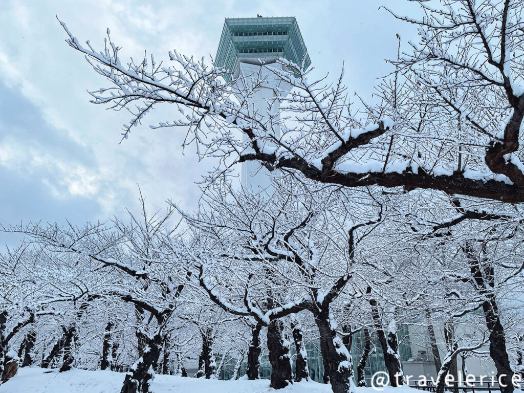 【函館】五稜郭塔